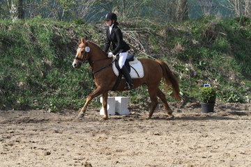 Bild 1155 - WBO-Turnier am 9.4.11